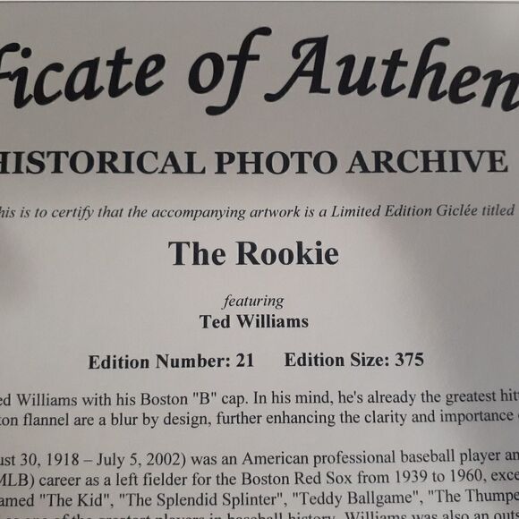 Ted William's "The Rookie" 10x14 Fine Art - Picture 5 of 8